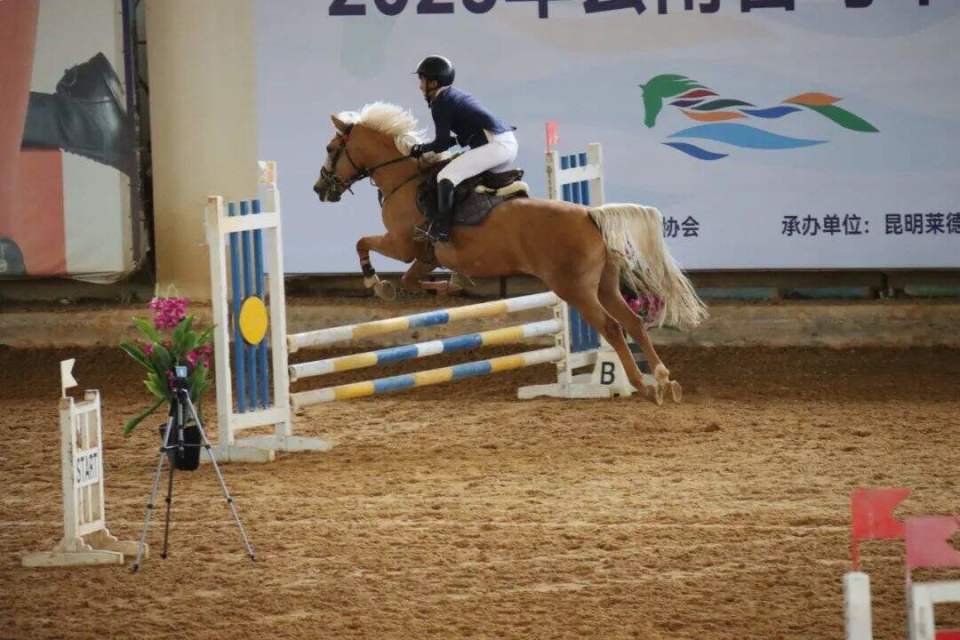 支代表队的, 身紧张情绪, 第一次来看 支代表队的, 身紧张情绪, 第一次来看