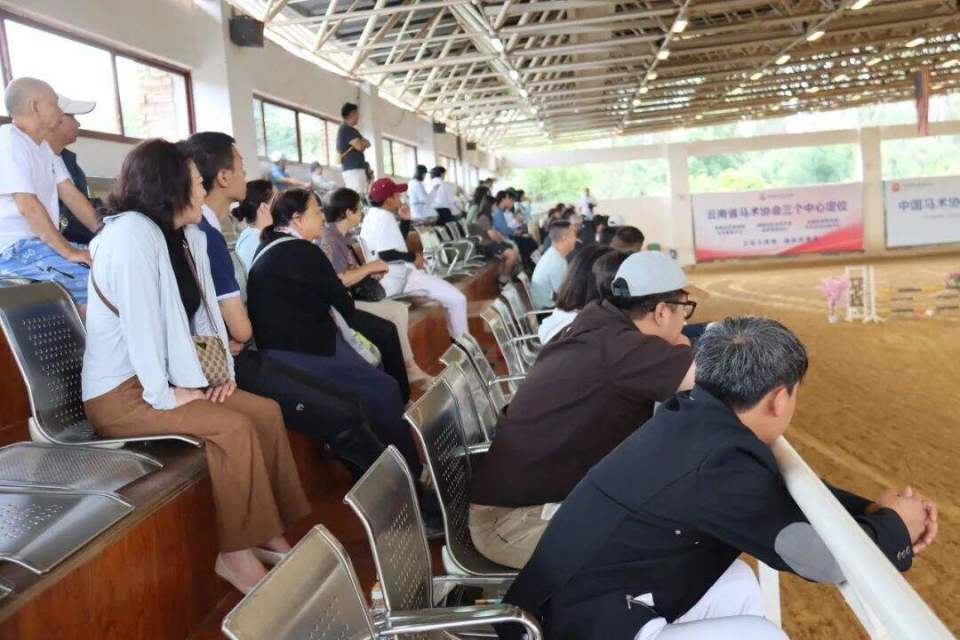 inews, 多项马术赛 inews, 多项马术赛